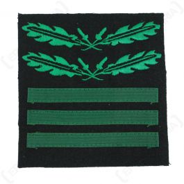 Standartenfuhrer/Oberst - Camo rank sleeve insignia - Epic Militaria